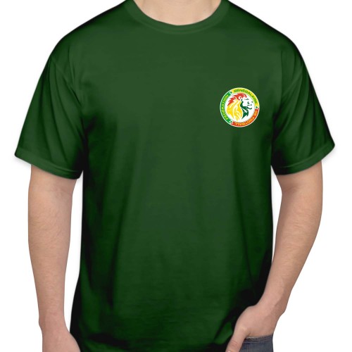 Senegal Football Shirt Soccer T-Shirt, FIFA World Cup 2026 Tops, Mens Womens Kids Jersey Gift, Birthday Sport Tee