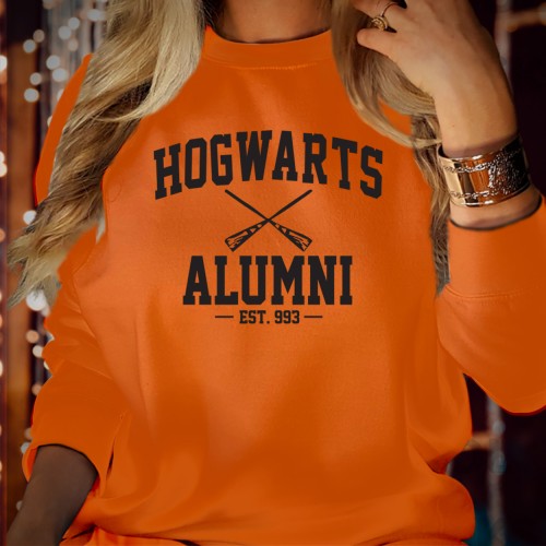 Hogwarts Alumni Sweatshirt, Harry Potter Est 993 Jumper, Wizarding World University Style Crewneck, Men Women Kids Unisex Gift Sweater